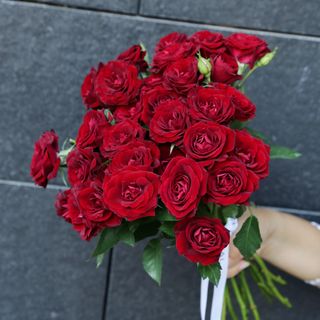 Ramo de 11 Rosas Rubicon