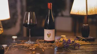 Saperavi - Gotsiridze winery