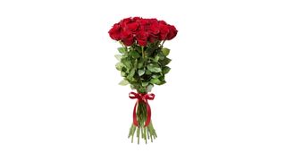 Red Roses