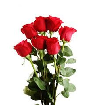 ROSA ROSSA MAZZO DA 7 PZ.