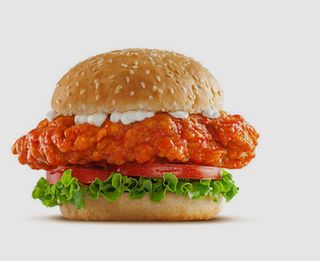 Chicken spicy dip burger with fries