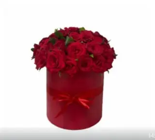 Box Aurore 