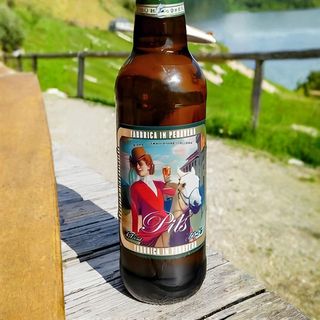 dolomiti pils 33 cl