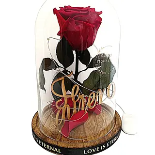 Cúpula de Cristal "Te Quiero" con Rosa Eterna Roja +Iluminación LED