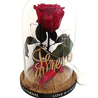 Cúpula de Cristal "Te Quiero" con Rosa Eterna Roja +Iluminación LED