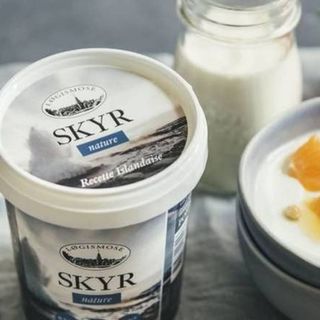 SKYR Løgismose
