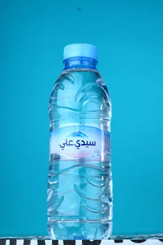 Sidi Ali