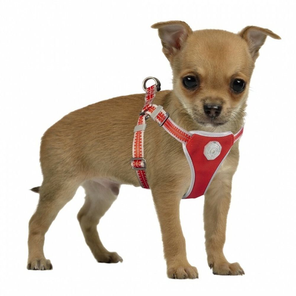 Ogrlice, povoci, amovi i adresari