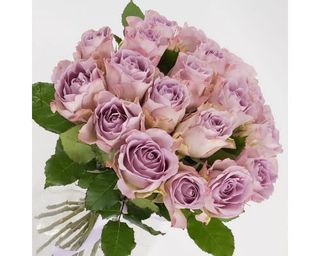 Bouquet de 10 roses Lilac