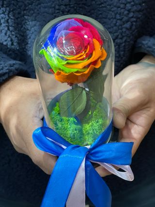 Crio Rainbow rose 4
