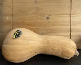 Zucca violina al pz