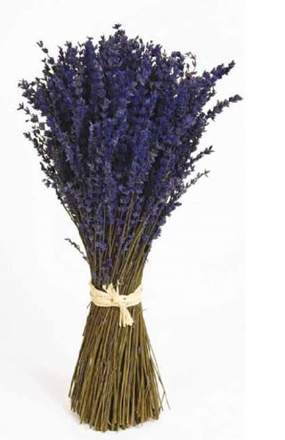 Ramo De Lavandas Preservadas
