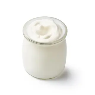 Plain Yogurt