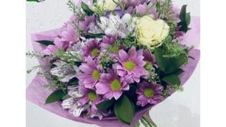 ხრიზანტემა ვარდისიმწვანე