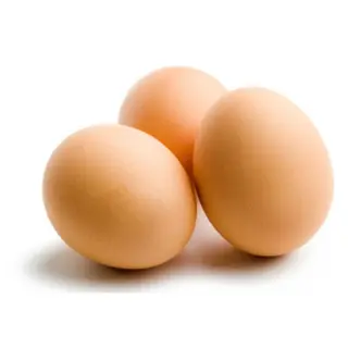 Egg