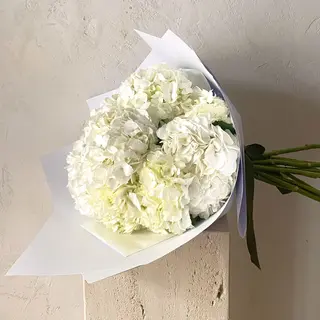 Ramo de 5 hortensias blancas