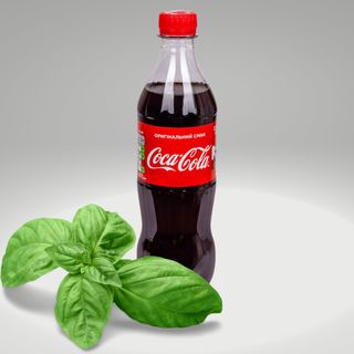 Кока-кола 0,5л