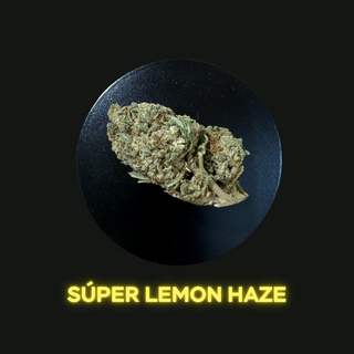 Super Lemon Haze 1Gr