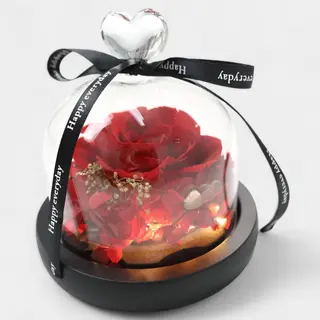 Rosa eterna en cúpula con luz