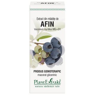 Extract din mladite de afin (VACCINIUM MYRT)