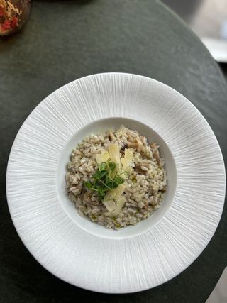 Risotto with Wild Mushrooms