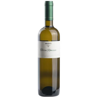 Serve Terra Romana Feteasca