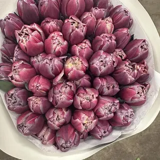 Bukiet tulipan 50