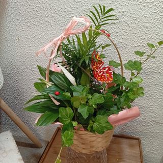 Cesta de plantas (S)