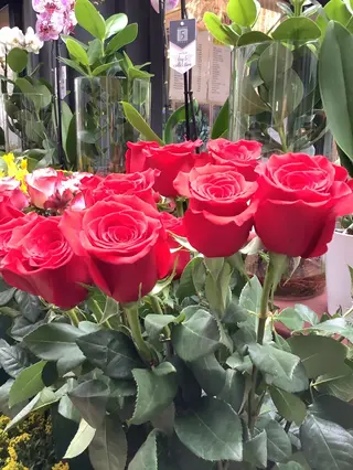 Rosse gambo lungo - 12 pezzi confezione regalo  speciale San VALENTINO