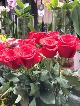 Rosse gambo lungo - 12 pezzi confezione regalo  speciale San VALENTINO