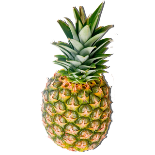 Piña Glamour 2.5 Kg.