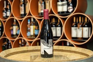 Nachbil Blaufrankisch