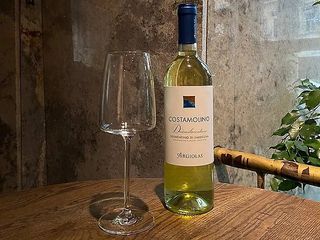 Vermentino Di Sardegna Costamolino,Argiolas SARDEGNA,ІТАЛІЯ (750 мл)