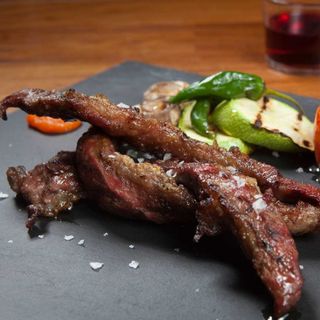 Lagarto Del Rio Bravo