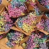 ფერადი გიფსოფილა ტოტი (Medium/5 ტოტი)