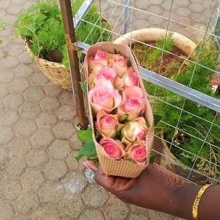 10 Stems of Pink Roses