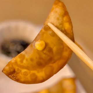 Vegetariano mandu