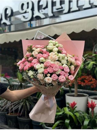 ჰოლანდიური სპრეი ვარდები.