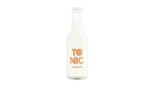 TO NIC Ginger Beer 0.2l