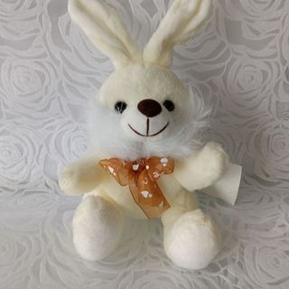 Peluche 20x13cm 4