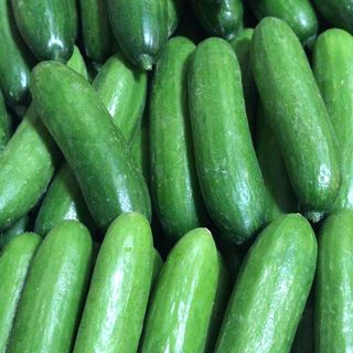 Mini Pepinos