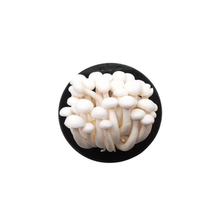 176. Funghi Shimeji bianchi 白玉菇 30g