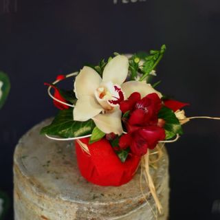 Miniatură cu Orhidee Dar