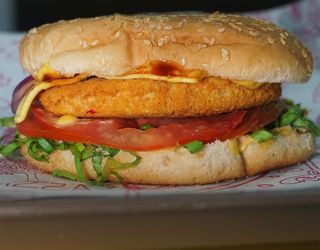 Burger Chicken