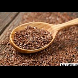 Refresco de Linaza (1.5 Lt.)