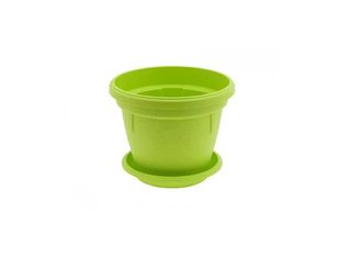 Саксия, светло зелена, Ф12