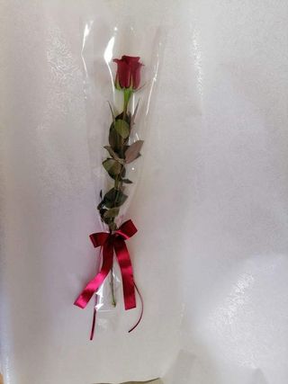 Crvena ruža u celofanu