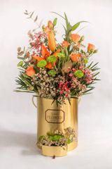 შერეული კოლოფი