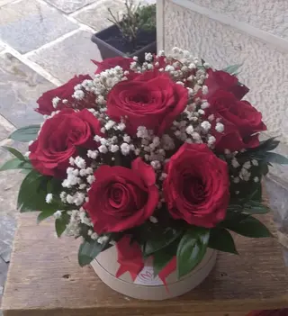 Box 6