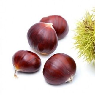 CASTAGNE IGP
